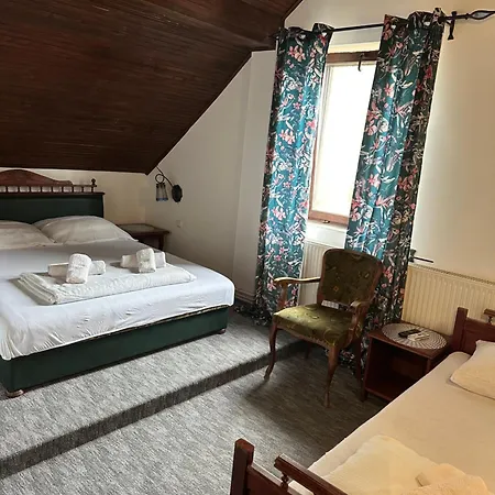 Prenociste Majkin Salas * Palics