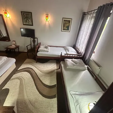 Prenociste Majkin Salas * Palics