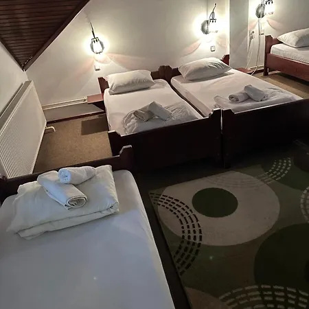 Prenociste Majkin Salas * Palics