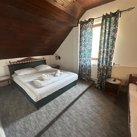 Prenociste Majkin Salas * Palics