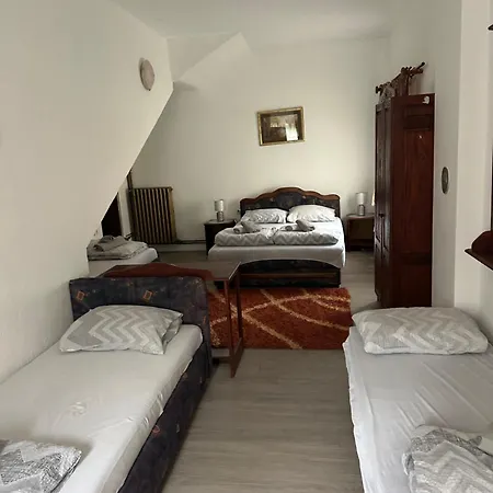 Prenociste Majkin Salas * Palics