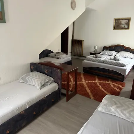 Prenociste Majkin Salas * Palics