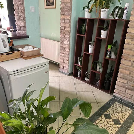 Prenociste Majkin Salas Farmház Palics